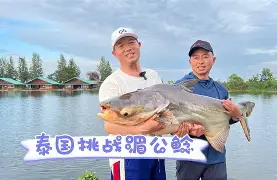 爱游戏体育 -寰楀疄1120