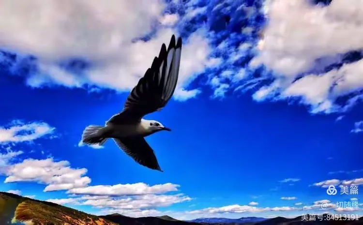 爱游戏体育入口 -艒 